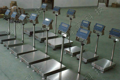 ����_�Q
